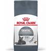 Royal Canin Dental Care 400 gr per Gatto