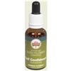 Bush Biotherapies Self Confidence essenza floreale per scarsa autostima 30 ml