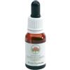 Bush Biotherapies Bush Fuchsia essenza floreale per apprendimento e concentrazione 15 ml