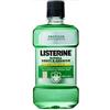 Listerine Difesa Denti e Gengive collutorio protettivo antibatterico 500 ml