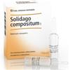 Guna Heel Solidago Compositum Medicinale omeopatico 10 fiale da 2,2 ml l'una