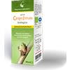 CAIRA LABORATORIO ERB. SA. Srl Cairagem Immunix Bio Gocce Integratore Alimentare 30ml