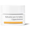 WALA ITALIA Srl Dr. Hauschka Balsamo Per Labbra 4,5g