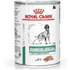 ROYAL CANINE ROYAL CANIN DOG DIABETIC SPECIAL LOW