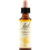SCHWABE PHARMA ITALIA Cerato Bach Original 20ml