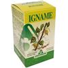 Specchiasol IGNAME ERBE 60TAV