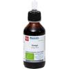 Fitomedical Ginkgo Tintura Madre Bio 100 ml