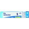 BOIRON Srl Iris Versicolor 9CH Boiron Granuli 4g