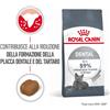 Royal Canin Dental Care 1,5 kg per Gatto