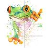 Artery8 Watercolour Frog Bright XL Giant Panel Poster (8 Sections) Acquerello Luminosa Manifesto