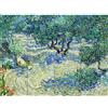 Artery8 Vincent Van Gogh Olive Orchard XL Giant Panel Poster (8 Sections) Manifesto