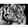 Artery8 Tiger Close Up Photograph XL Giant Panel Poster (8 Sections) Avvicinamento Fotografia Manifesto