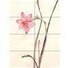 Artery8 Flower Zephyranthes Watercolour XL Giant Panel Poster (8 Sections) Fiore Acquerello Manifesto