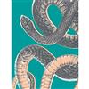Wee Blue Coo Snake Illustration Modern Biodiversity Unframed Art Print Poster Wall Decor 12x16 inch Illustrazione Manifesto Parete