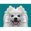 Artery8 Dog Illustration Spitz Swirls XL Giant Panel Poster (8 Sections) Illustrazione Manifesto