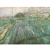 Artery8 Vincent Willem Van Gogh Dutch Rain XL Giant Panel Poster (8 Sections) olandese Pioggia Manifesto