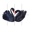 Artery8 Black Swans Painting XL Giant Panel Poster (8 Sections) Pittura Manifesto