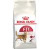 Royal Canin Regular Fit 32 - 400 gr Gatto