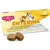 Buona Pet enterina 10 compresse