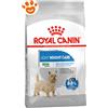 Royal Canin Dog Mini Light Weight Care - Sacco da 1 kg