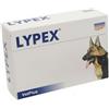 VETPLUS Lypex 60 Capsule - Mangime complementare per cani