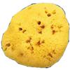 Farmacare SPUGNA NAT FORI L 10/11 CM 7