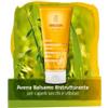 WELEDA ITALIA Weleda Balsamo ristrutturante per capelli secchi e danneggiati 200 ml