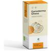 Gheos GANODERMA GHEOS 90 CAPSULE DA 540 MG