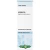 Erba Vita IPERICO SOMMITA' SOLUZIONE IDROALCOLICA 50 ML