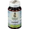 MAHARISHI ASHVAMAP 60 COMPRESSE 30 G