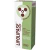 Amnol Cremagel Lipolipase anticellulite corpo, 150ml