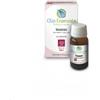 ERBORISTERIA MAGENTINA INCENSO OLIO ESSENZIALE 5 ML