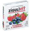 ZIGULI VIT FRUTTIBOSCO 40 CONFETTI