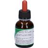 Herboplanet MSA SEQUOIA GIGANTEA 50 ML