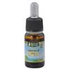 Maharishi Ayurveda AROMAP OLIO 10 ML