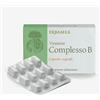 Erbamea VITAMINE COMPLESSO B 24 CAPSULE VEGETALI