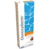ICF Prodotti Veterinari CLOREXYDERM SOLUZIONE 500 ML