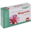 Kos MAGNOLIA ESTRATTO SECCO 60 COMPRESSE