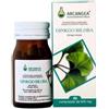 Arcangea GINKGO BILOBA 60 CAPSULE 500 MG