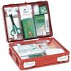 Farmacare CASSETTA PRONTO SOCCORSO FAMILY PER CAMPEGGIO, BRICOLAGE, CASA E UFFICIO. CONTENITORE IN ABS ANTIURTO CON SUPPORTO PER IL FISSAGGIO ALLA PARETE