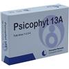 Biogroup PSICOPHYT REMEDY 13A 4 TUBI 1,2 G