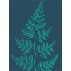 Wee Blue Coo Navy And Teal Fern Leaf Unframed Art Print Poster Wall Decor 12x16 inch Marina Militare Manifesto Parete