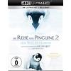 Wild Bunch (Im Vertrieb von LEONINE) Die Reise der Pinguine 2 - Der Weg des Lebens (4K Ultra-HD) (+ Blu-ray 2D)