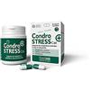 INNOVET ITALIA Srl Condrostress (+) Cat - Nuova Formula - Compresse