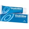 FARMA-DERMA SRL Cicatridina Pomata 60 G