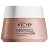 VICHY Trattamento Anti Age Crema Notte Vichy Neovadiol Rose Platinum 50ml