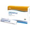 PRINCEPS SRL Droseflu 10 Bustine 15 Ml