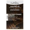 ZETA FARMACEUTICI SPA Euphidra Colorpro Xd 530 Castano Chiaro Dorato Gel Colorantecapelli In Flacone + Attivante + Balsamo + Guanti