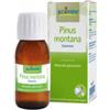 BOIRON SRL Pinus Montana Boiron Macerato Glicerico 60 Ml