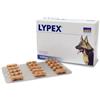 VetPlus LYPEX 60 CAPSULE